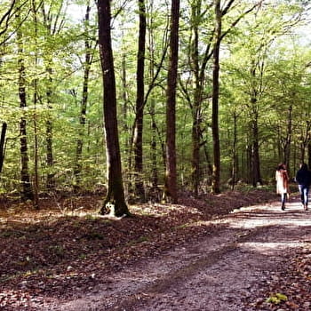 La Forêt - SAINT-GERMAIN-LES-BUXY