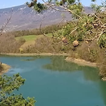 Les berges du Rhône - VALSERHONE