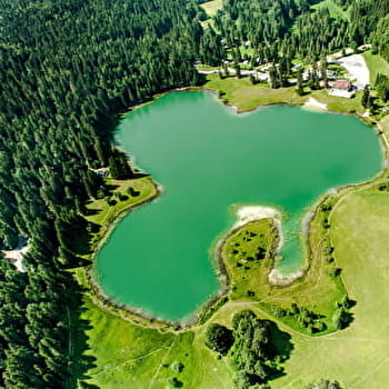 Balade - La tourbière du lac Genin - CHARIX