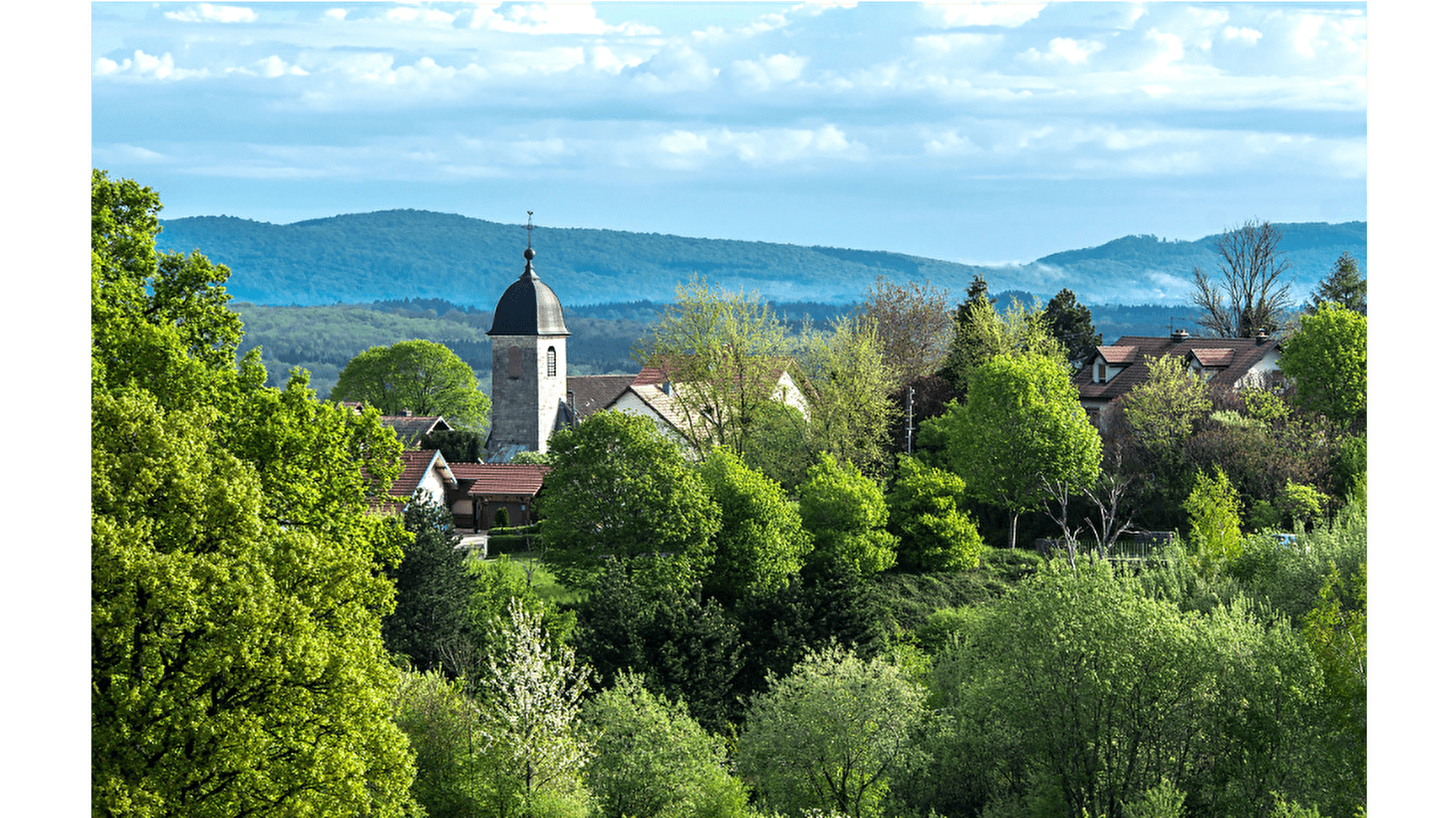 Sentier du Bois de la Fougère