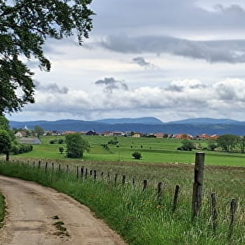 Le Grand-Bois - n°111 - CHAFFOIS