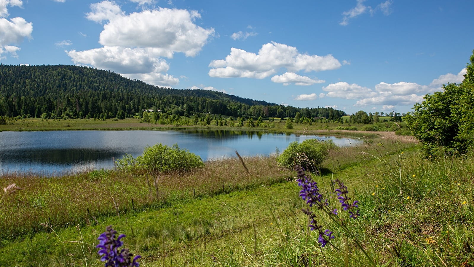 La Bique du Mont-Noir - 20N
