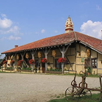 Randonnée - St Trivier de Courtes et les cheminées sarrasines - SAINT-TRIVIER-DE-COURTES