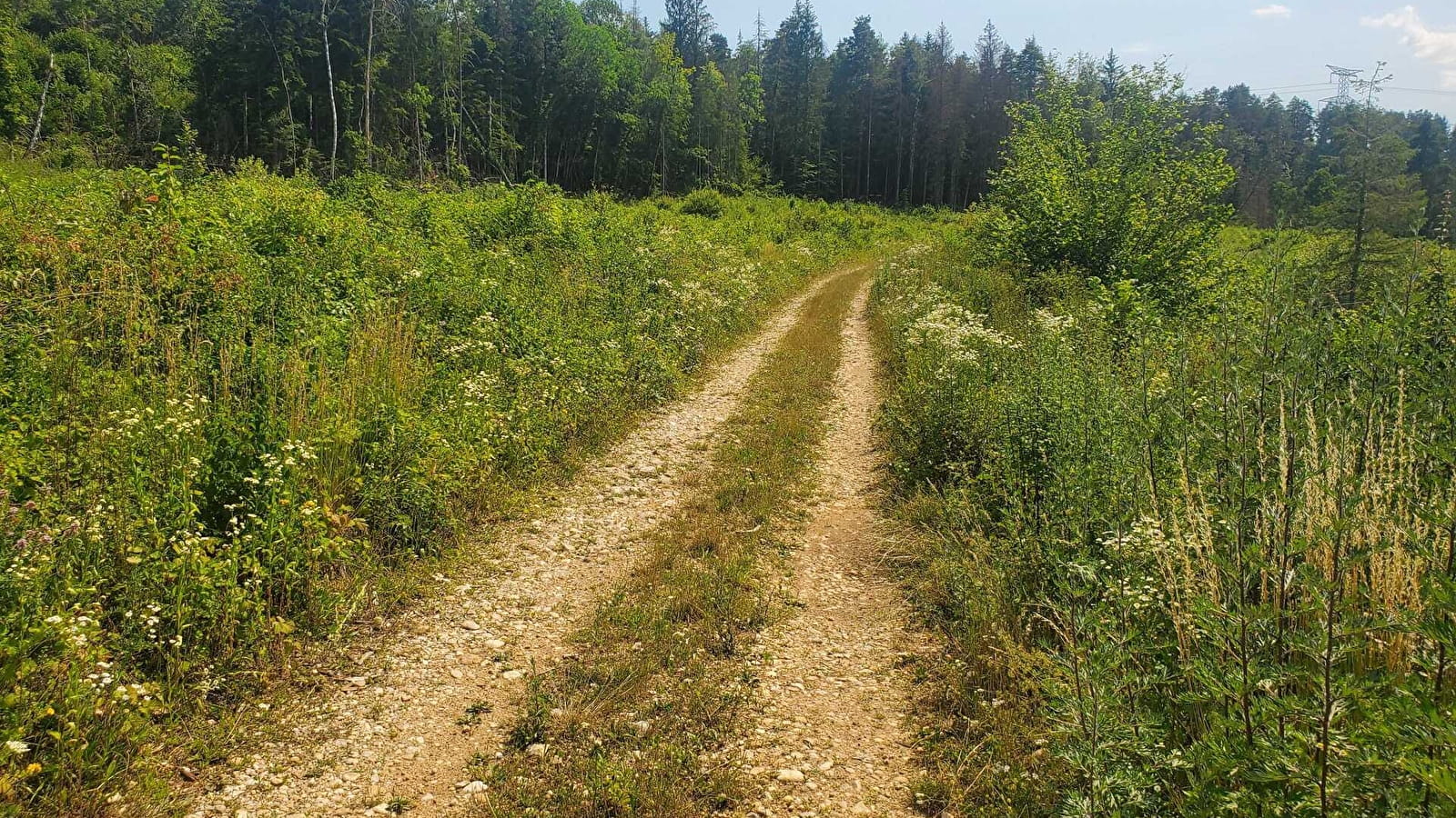 Parcours VTTAE 71 vert - Vallée de l'Oignin la Belloire - Espace FFC Ain Forestière