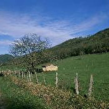 GR® de Pays Tour du Revermont - PONT-D'AIN