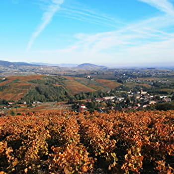 Grand circuit de Blacé - BLACE