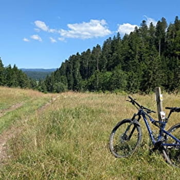 Taremberg - n°78 parcours classique - VAUX-ET-CHANTEGRUE