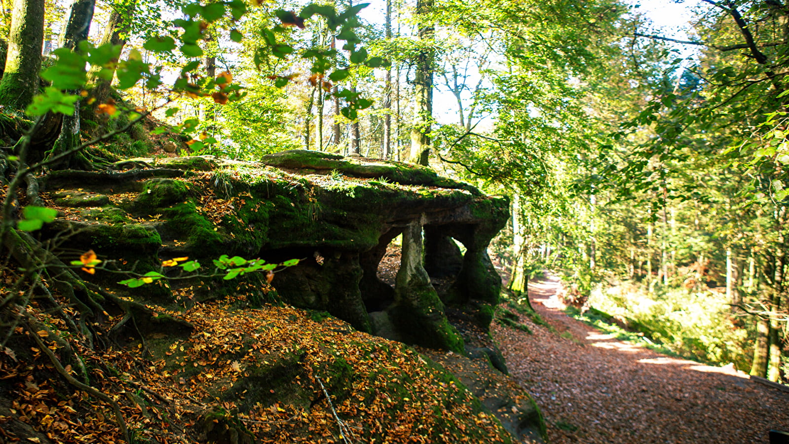 Le Loup Garou - 105R