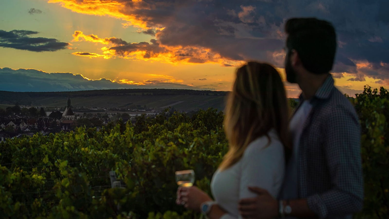 Route gourmande des vignobles de l'Yonne et du Châtillonnais