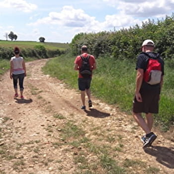 Randonnée à Thianges / Boucle de la Motte - THIANGES