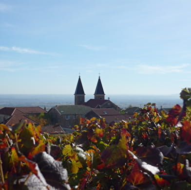 Les sentiers du Gaulois