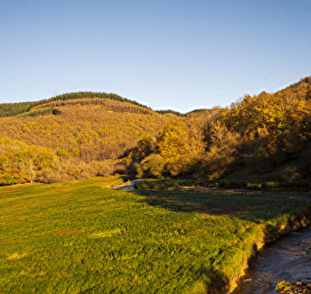 Circuit de randonnée : Queue du lac de Pannecière - CORANCY