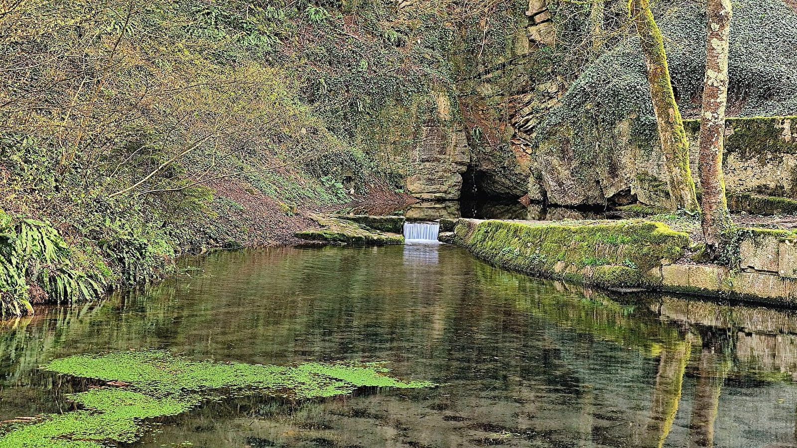 La Foulotière - 104R