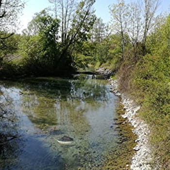 Sentier des lônes et îles du Haut-Rhône - BREGNIER-CORDON