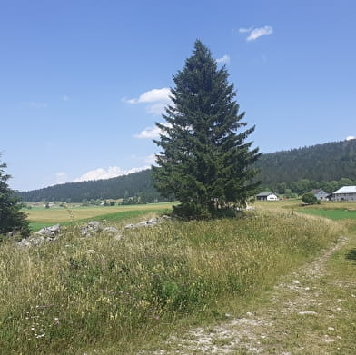 Ecomusée - Combe des Cives