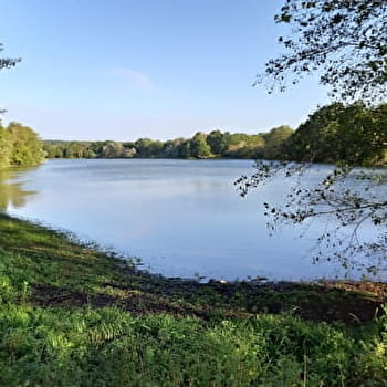 Maison Fort - SAINT-AMAND-EN-PUISAYE
