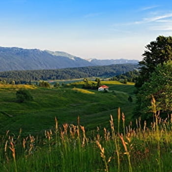 Les Belles Combes - 17N - SEPTMONCEL LES MOLUNES