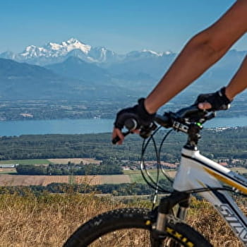 Parcours VTT 80 - vert - les Devins - Espace FFC Ain Forestière - DIVONNE-LES-BAINS