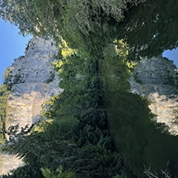 Le prince de Belleherbe - BELLEHERBE