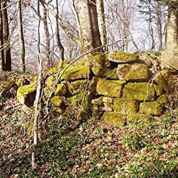 La Comtesse Henriette - ETOBON