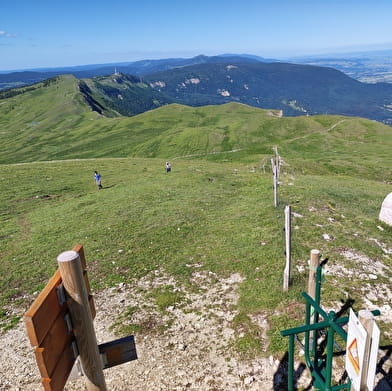 Parcours Trail : La quête du plus beau panorama d'Europe