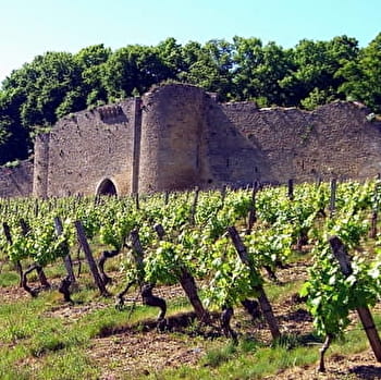 Domaine du Château d'Arlay - ARLAY