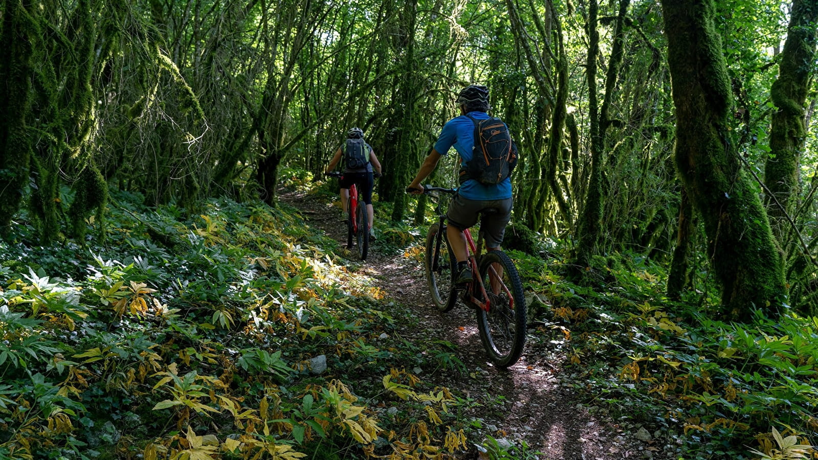 Le circuit Froide Fontaine - 109R