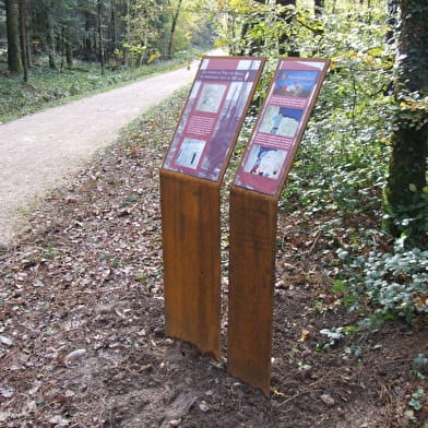 Parcours du Poilu du 133e RI