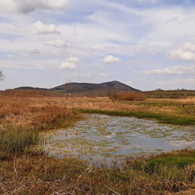 Parcours VTT 54 bleu - Aranc et les Hauts d'Evosges - Espace FFC Ain Forestière