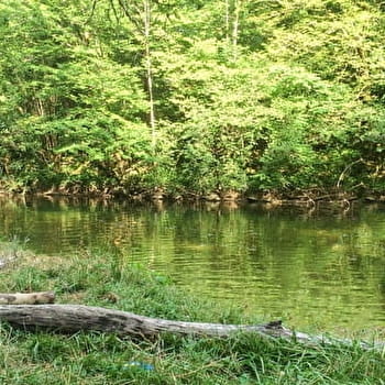 Pique nique au bord du Dessoubre -