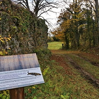 Circuit de randonnée du Pont des Tines et des Grottes du Pic - HAUT VALROMEY
