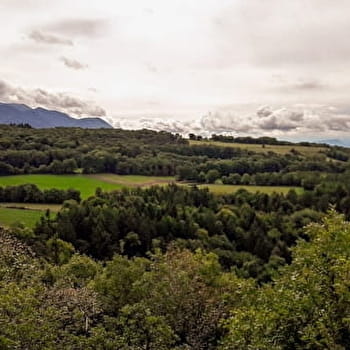 Randonnée du Bois du Geay - HAUT VALROMEY
