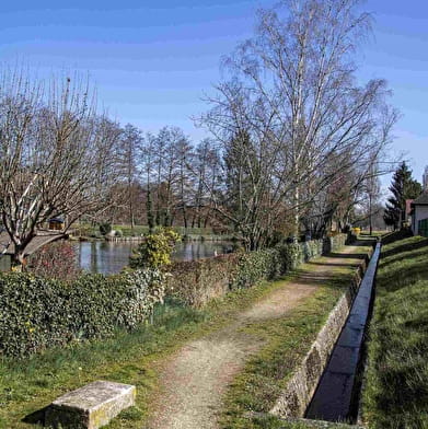 À vélo, de Toucy au Château de Grandchamp et retour