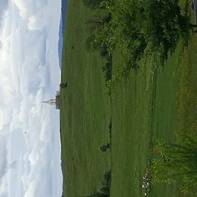 Le Grand-Bois - n°111