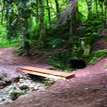 D'un rail à l'autre - 11km - RIOZ