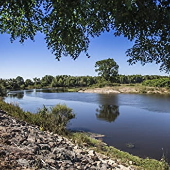 Campagne belgeacienne - BAUGY