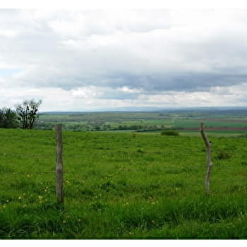 Montagne de Venarey - VENAREY-LES-LAUMES