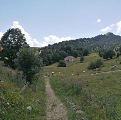 Les trésors cachés de la GTJ - Sur la route du Crêt de Chalam