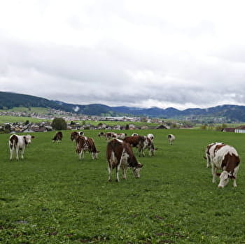 La Morteau dans l’âme - MORTEAU