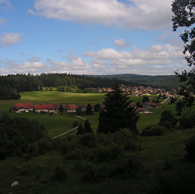 Le berger des vaches