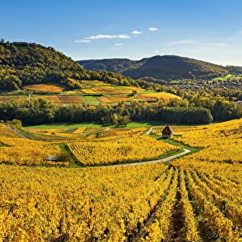Le Tour de Château-Chalon à VTT - 5R - VOITEUR