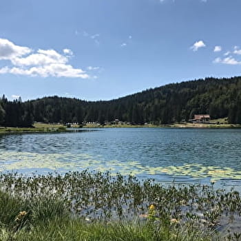 Parcours VTT 68 bleu - Lac Genin et les bois de Puthod et des Millières - Espace FFC Ain Forestière - CHARIX