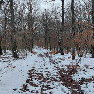 Le sentier de la p'tite maison