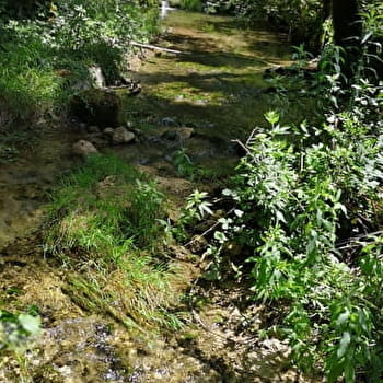Le petit trail de la forêt du Chatelard - Parcours de trail n°11 - OYONNAX