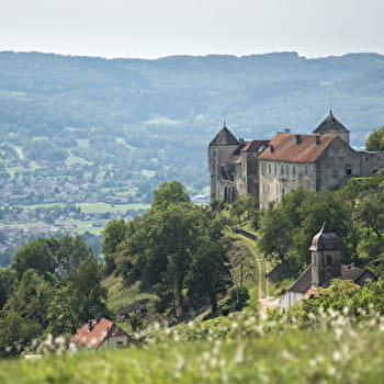 Sentier historique de Belvoir - SANCEY