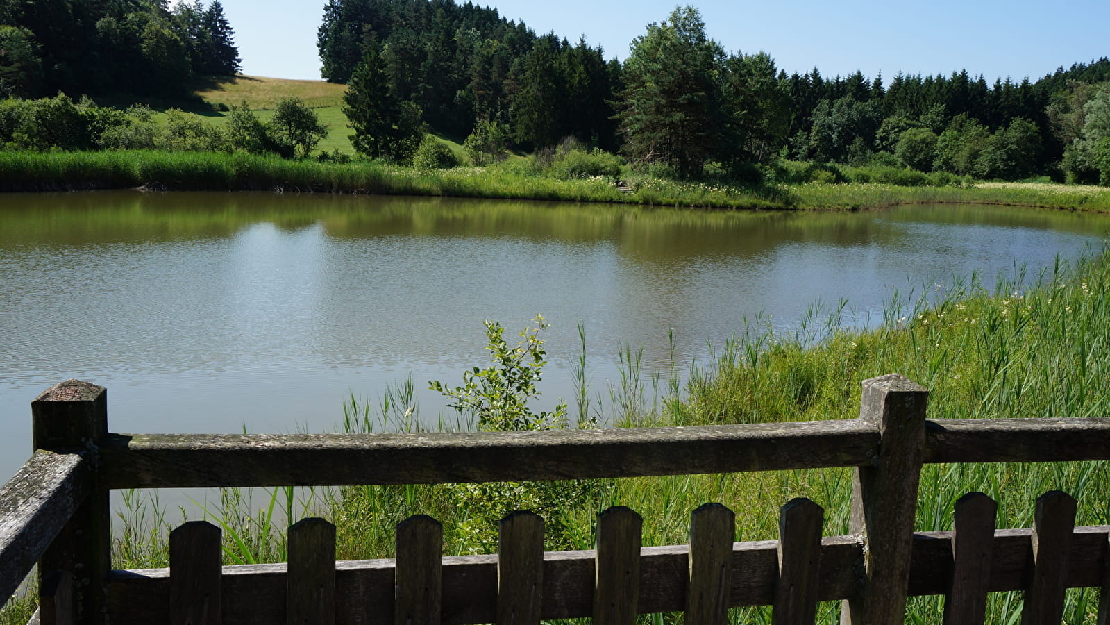 Balade - Le marais des Lèches