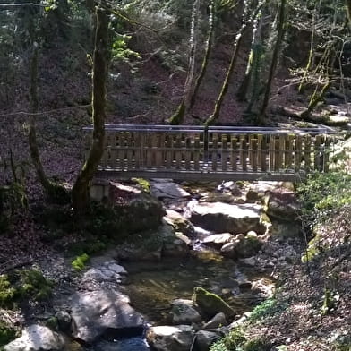 Les berges du Rhône