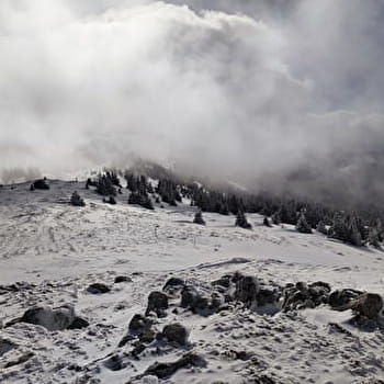Sentier raquettes : de la Catheline au Crêt de la Neige - LELEX