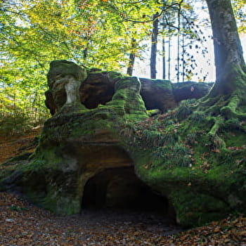 Les Racines - 109R - MOISSEY