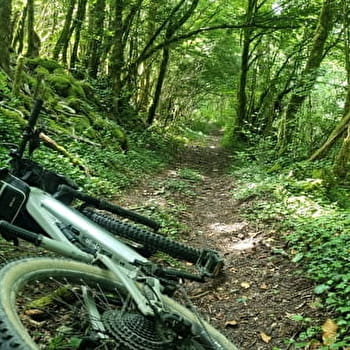 Circuit VTT n°7 (rouge) - Côtes de Villereversure, terres à Comté - SIMANDRE-SUR-SURAN